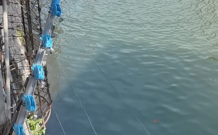 “秋老虎”天氣曝氣風機不出氣怎么辦